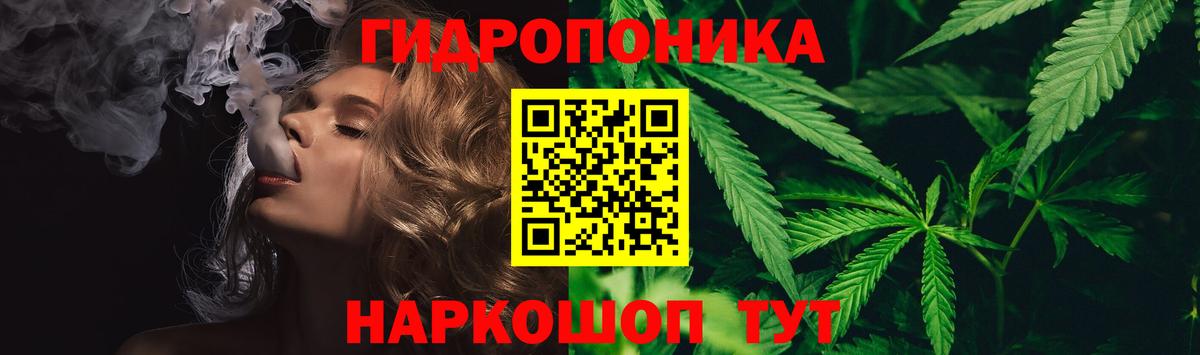 Марихуана OG Kush Острогожск